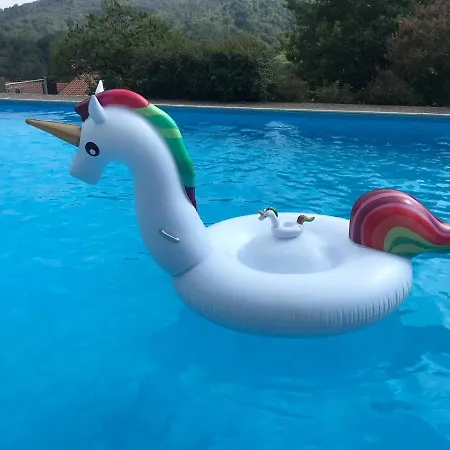 Swimming And Sun *