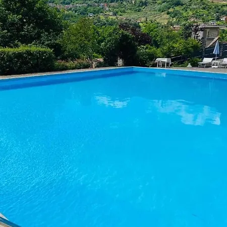 Swimming And Sun